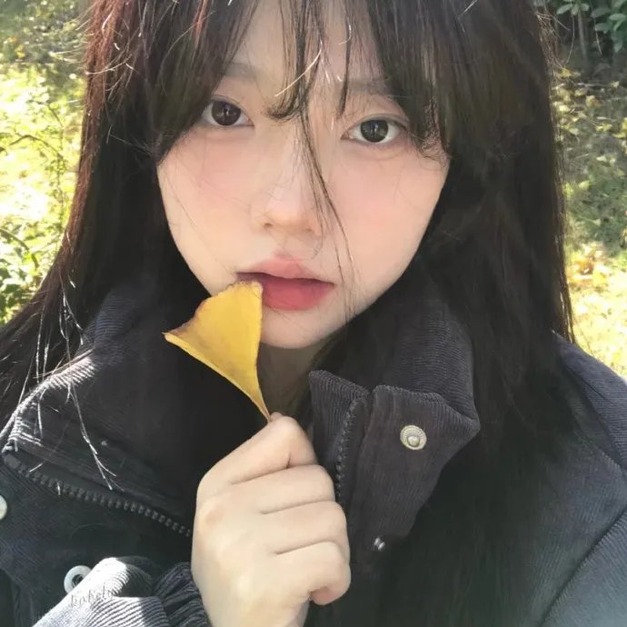 黑森林