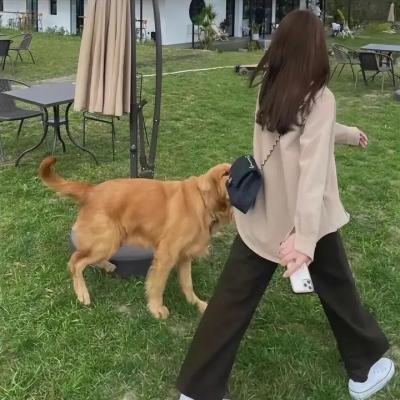 女探长